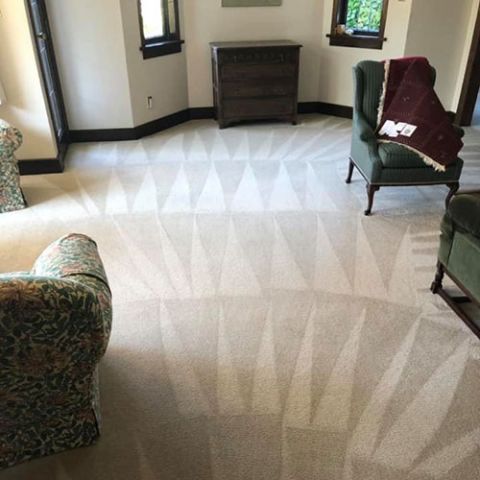 Image depicting the Service Carpet Cleaning