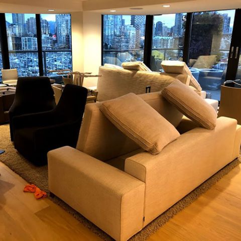 Image depicting the Service Upholstery Cleaning